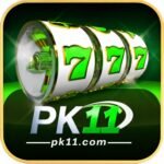 PK11 Game Download