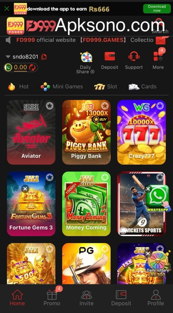 FD9999 Game